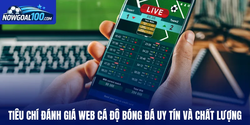 Tiêu chí đánh giá web cá độ bóng đá uy tín và chất lượng